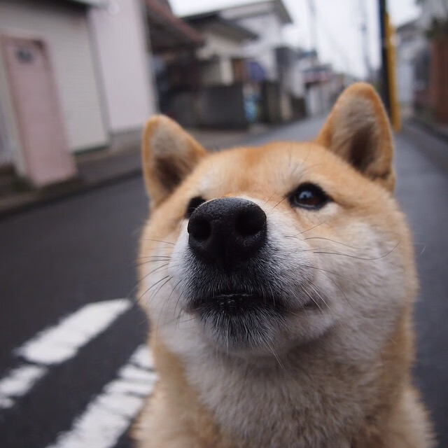爱游戏在线-新王当立，联合杯碾压拉沃尔杯成团队赛新标杆，蒂姆一肩扛起复兴大旗