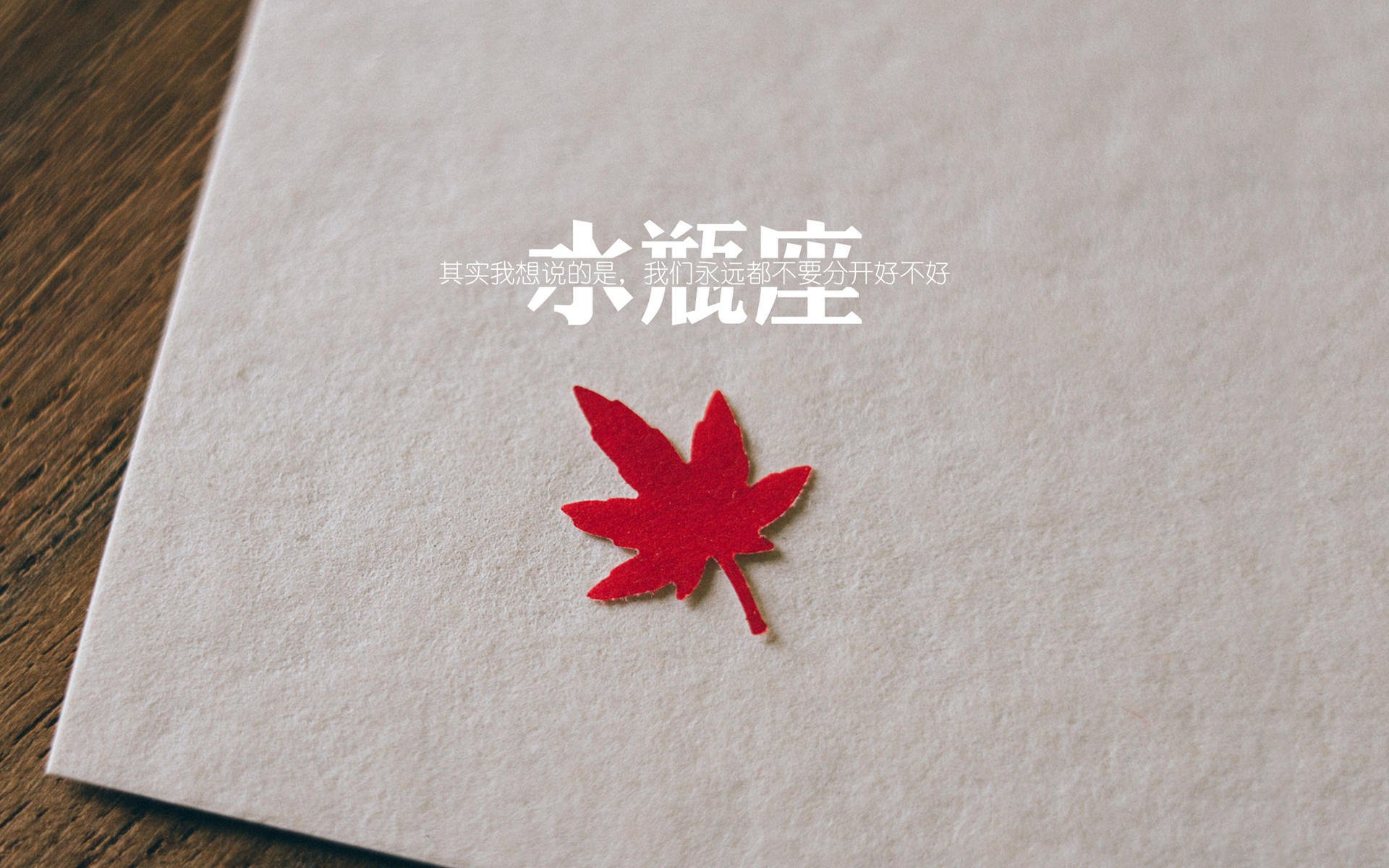 布鲁诺,那根看不见却时刻作响的鞭子