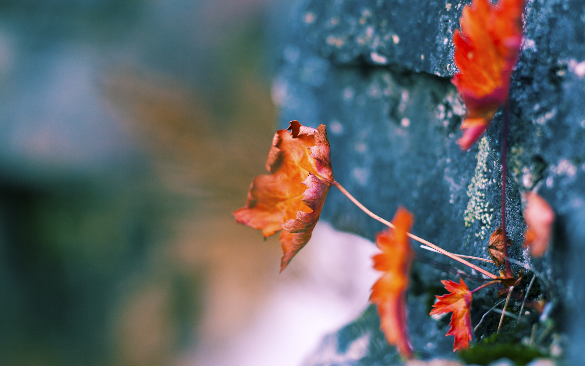 马刺vs太阳的隐形战场,为何全联盟都在谈论哈利伯顿的硬仗之王基因