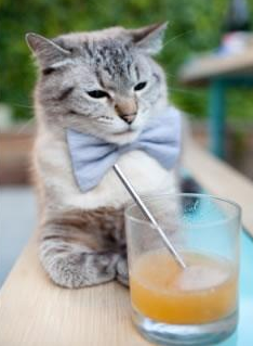 爱游戏-英伦铁骑的征服，欧冠淘汰赛的白色王朝收割记