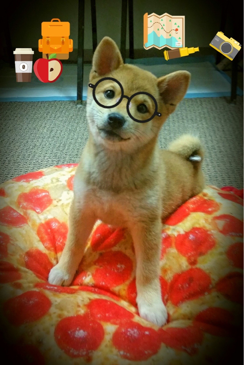 降维打击!切特·霍姆格伦与开拓者终结热火平行宇宙的午夜回响