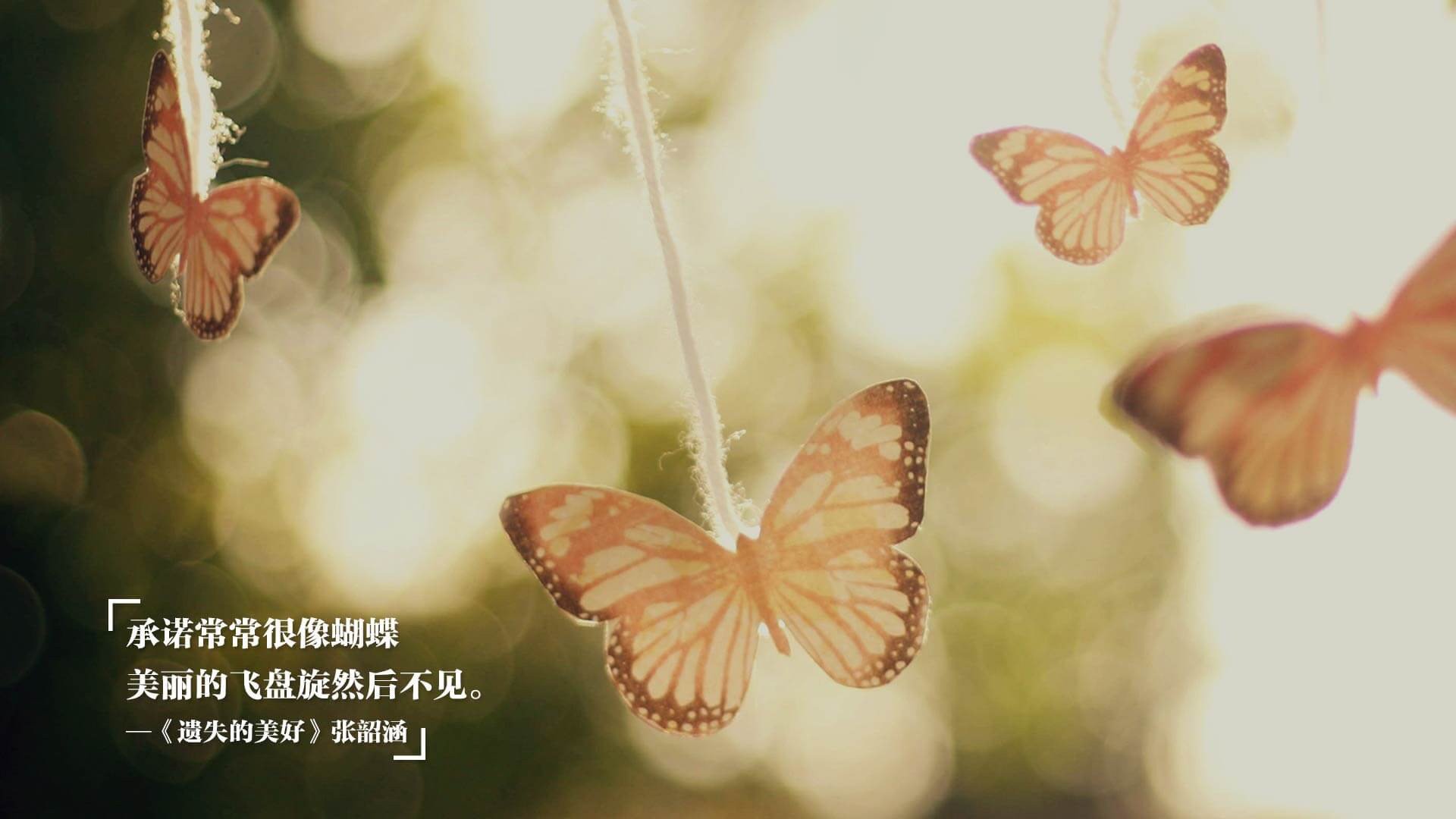 续写传奇,从欧冠史诗到CBA争冠,巅峰对决诠释何为冠军之心