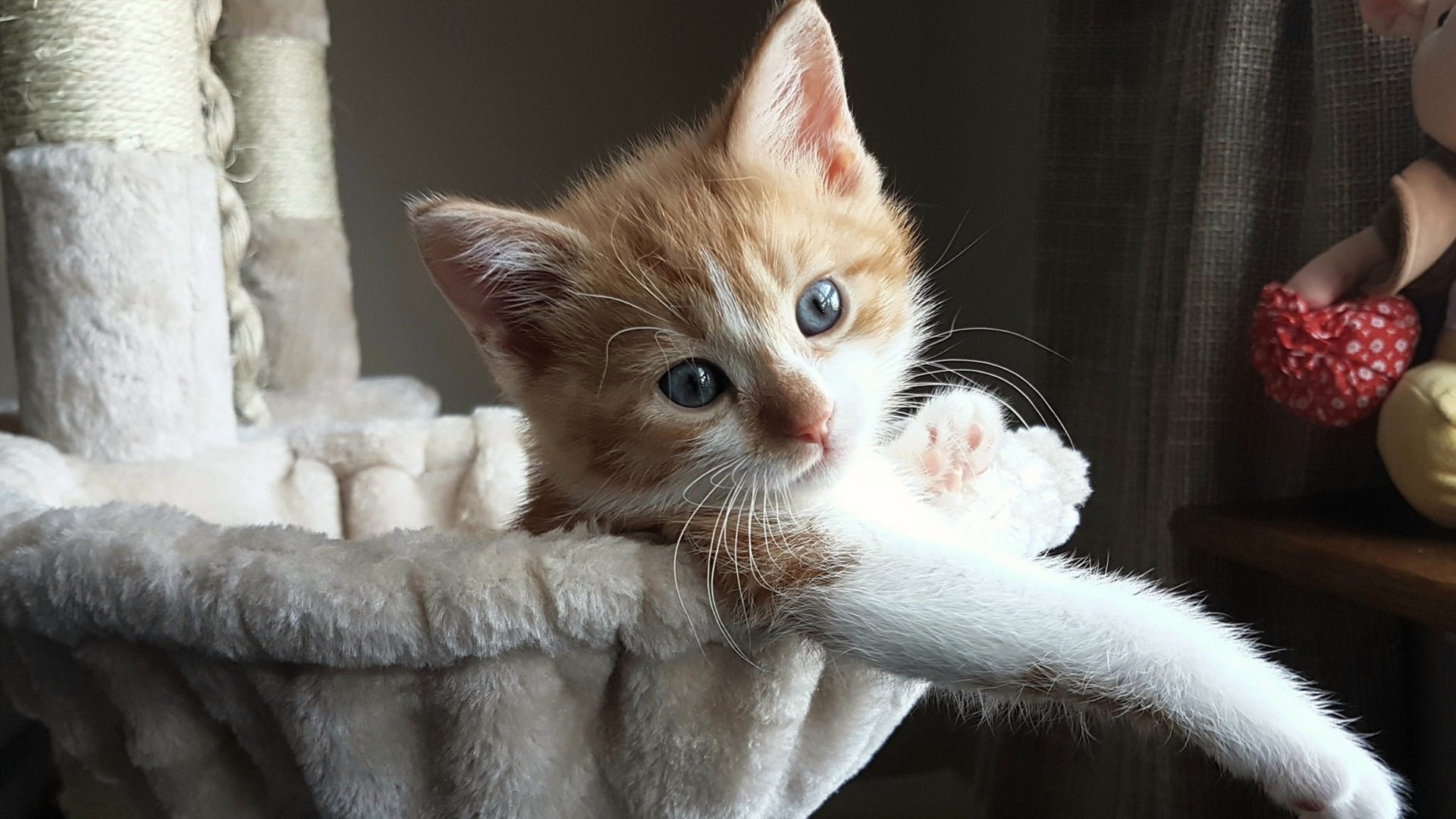 街道的弯道与世界杯的点球,体育唯一性的双重奏