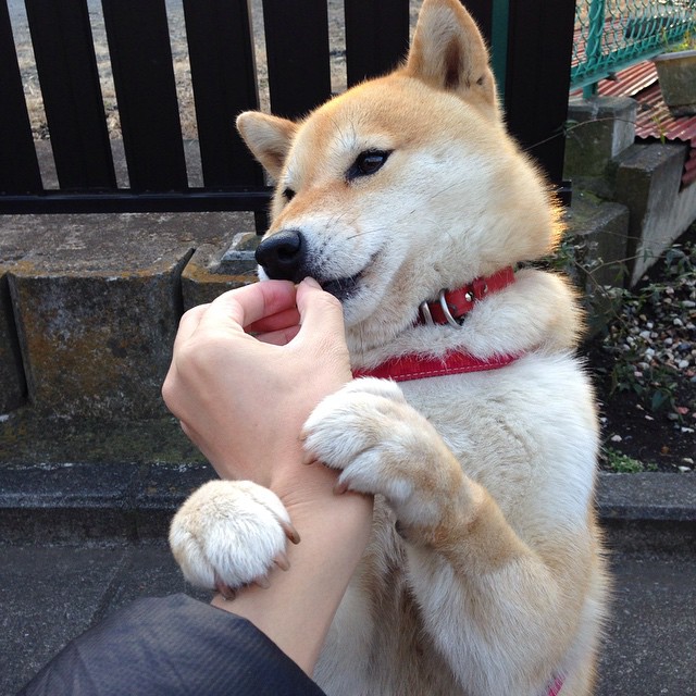 维度撕裂时,欧文的节奏成为唯一主宰,当76人与新疆队同时开打