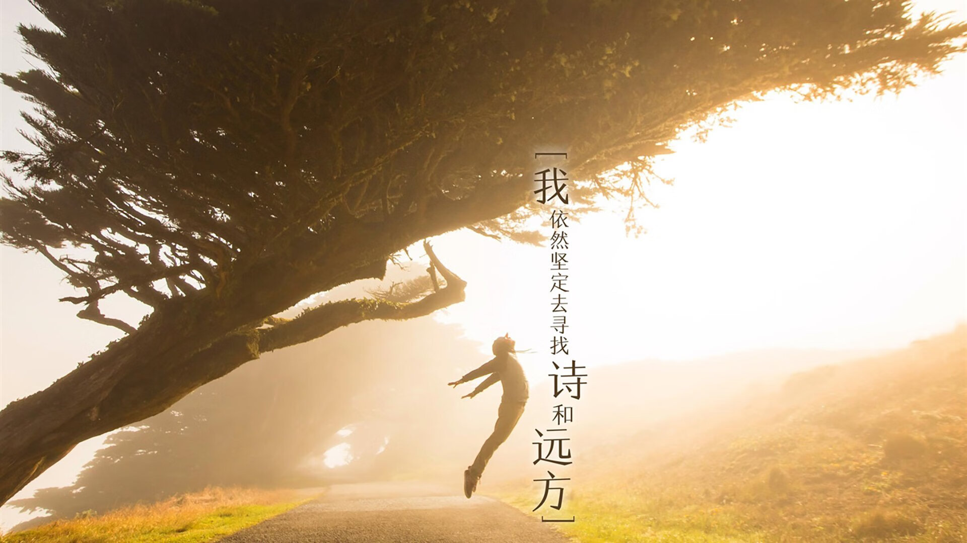 孤星耀世,2026世界杯B组生死战,波兰力克厄瓜多尔,穆西亚拉上演唯一之夜