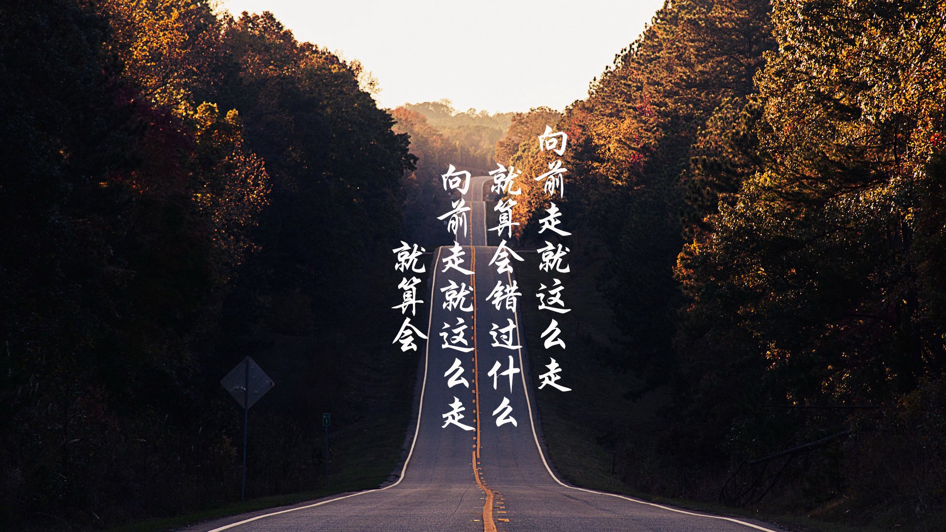 独行者的舞台，2026世界杯H组，坎塞洛如何以一己之力改写了斯洛伐克对阵美国的剧本