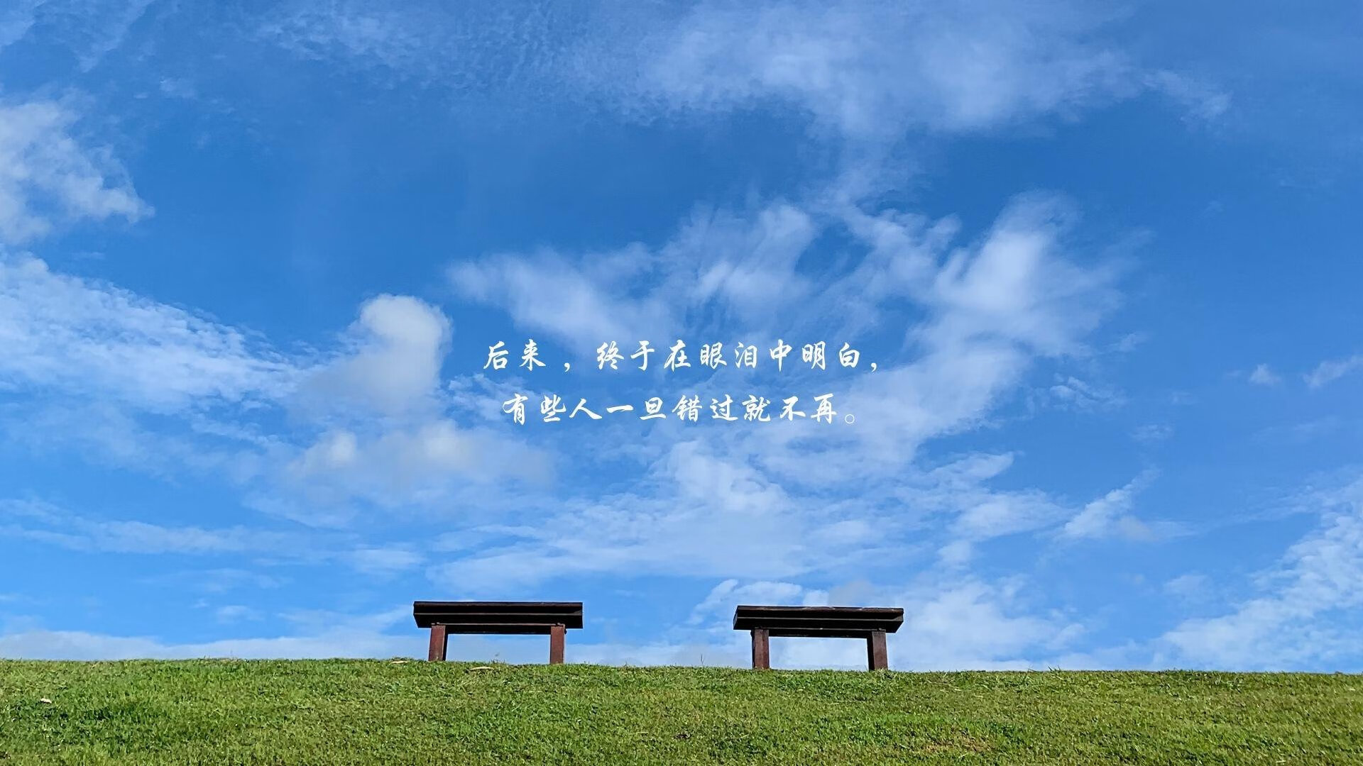 宿命对决的独白，2026世界杯D组，当荷兰的橙色风暴席卷罗马尼亚，穆西亚拉以天才之名照亮全场